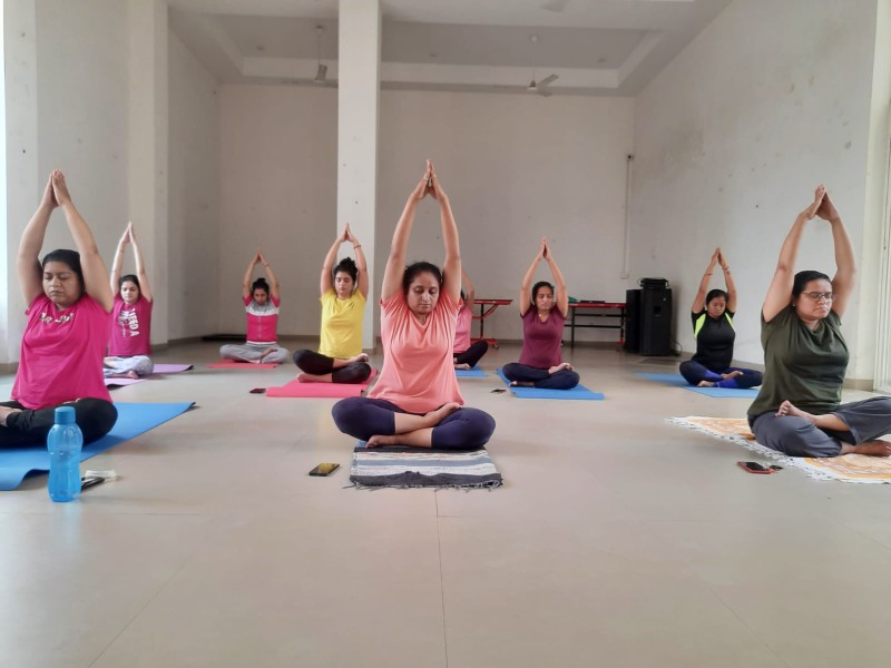 yoga nidra meditations